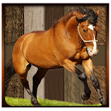 Horse Racing 3D 2018 icon