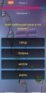 Анатомія Вікторина Українською