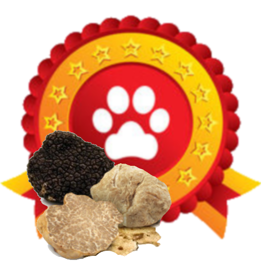 Addestramento Cani da Tartufo – Apps on Google Play