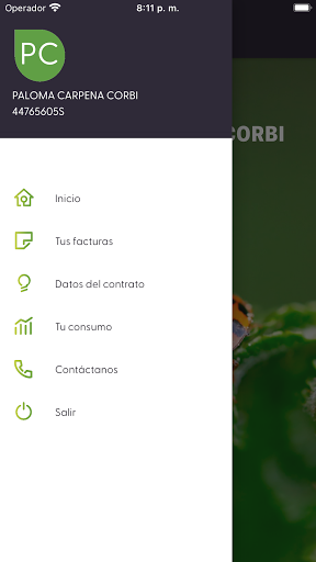 Ion Energía Screen 2