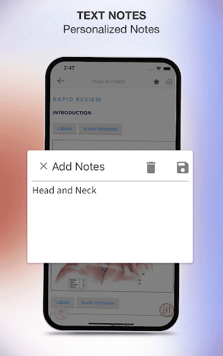 Screenshot of Rapid Review Anatomy Guide