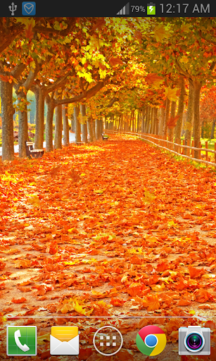 Maple Leaf Live Wallpaper Screen 2