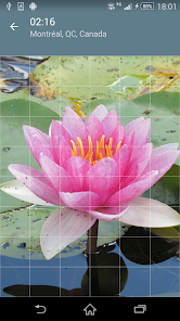 Imágen 2 Rompecabezas: Flores android