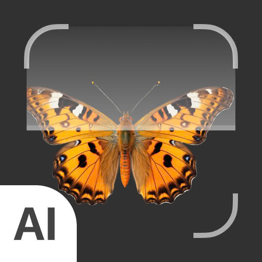 Insect ID - AI insect identify Download on Windows