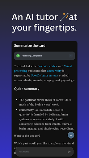 Only Ever — Learn Anything