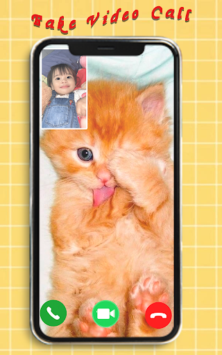 Cat Fake Call Video Prank