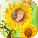 Sunflower photo frame icon