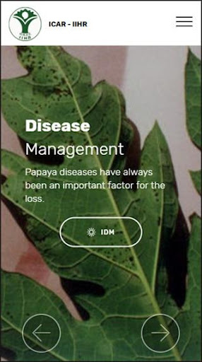 Papaya Cultivation IIHR Screen 2