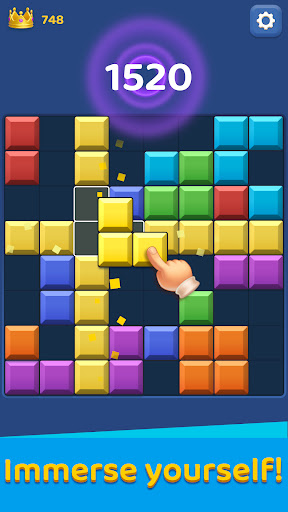 Block Master - Puzzle Game screenshot