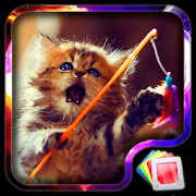 Top 30 Personalization Apps Like Cats Live Wallpaper - Best Alternatives