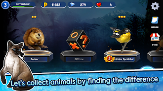 Game screenshot Find the Difference - Animals mod apk