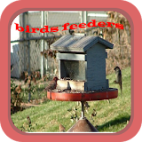 Easy bird feeders icon