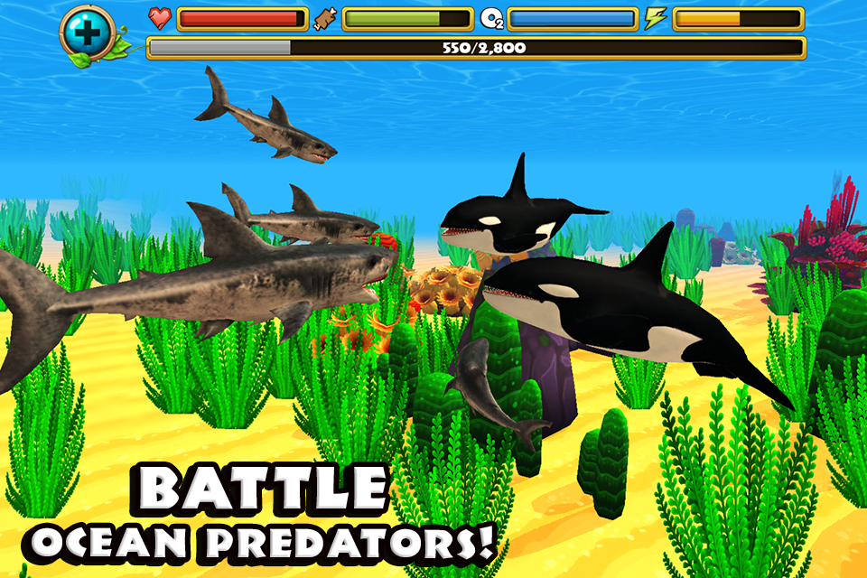 Android application Wildlife Simulator: Shark screenshort