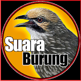 Kicau Burung Lengkap icon