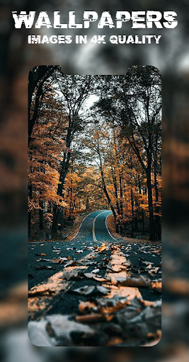 Amoled Wallpapers - HD and 4K