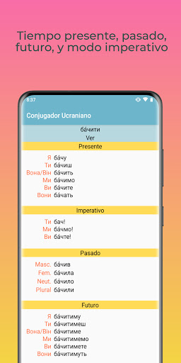 Ukrainian Conjugator Screen 3