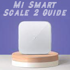 Xiaomi Mi Smart Scale 2 review