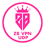 ZB VPN UDP