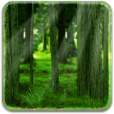 RealDepth Forest Free LWP icon