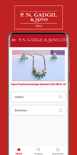 PNG & Sons Advanced Order Screen 3