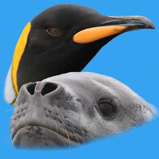 Antarctic Wildlife Guide 1.2.8 Icon