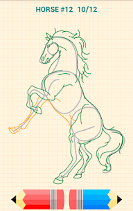 How to Draw Horses 5