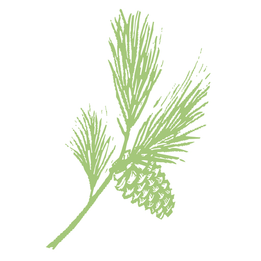 Cedar Brook logo