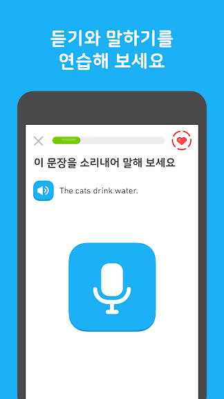 듀오링고(Duolingo): 영어 학습_4