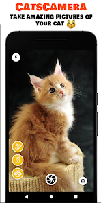 Cats Camera - Cheat your Cat W 1.0 APK + Mod (Unlimited money) untuk android