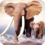 Cover Image of Download Elephants Wallpaper New 4K 1.01 APK