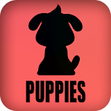 Puppies icon