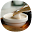Homemade Toothpaste Recipes Guide Download on Windows