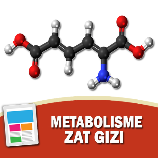 Metabolisme Zat Gizi