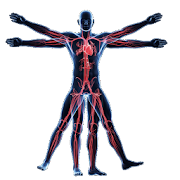 Anatomy & Physiology of The Human Body 2.1 Icon