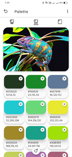 Color Palette Screenshot 3 - AppWisp.com