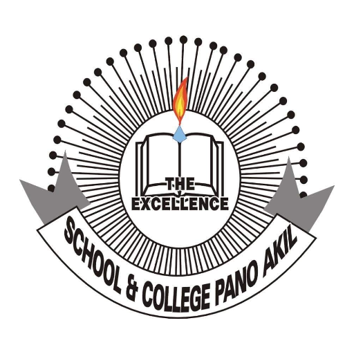 The Excellence School  coll.