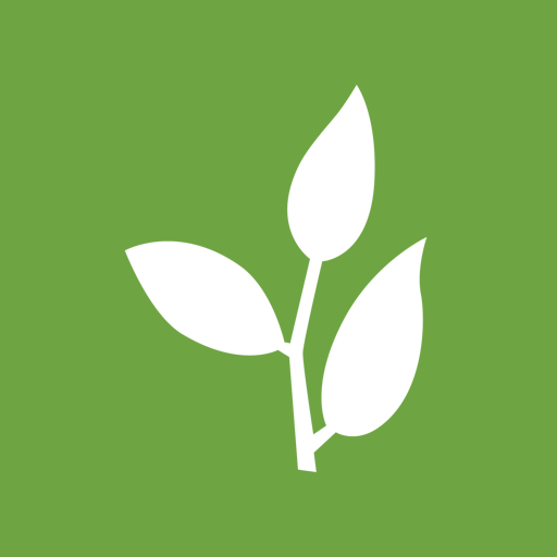 Life Community Church logo