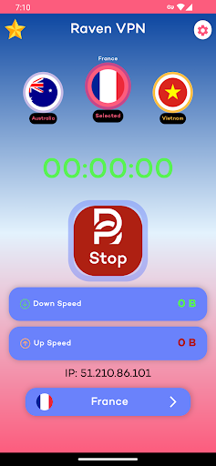 Raven VPN: Ultra Web Sentinel Screen 3