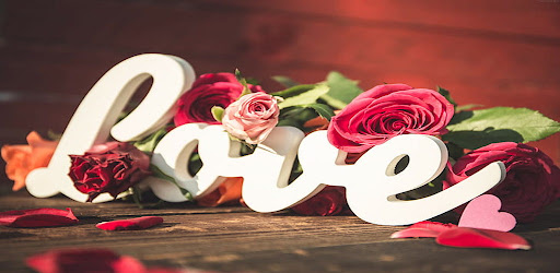 Love GIF Greeting Collection Screen 2