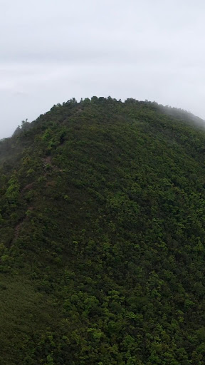 Android application mountain scenery wallpaper screenshort