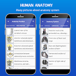 screenshot of Gray's Anatomy - Anatomy Atlas