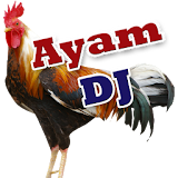 Ayam DJ icon