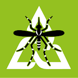 Aedestrói icon