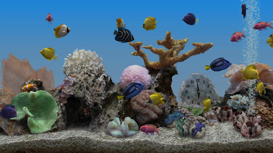 Marine Aquarium 3 3 Apps Bei Google Play