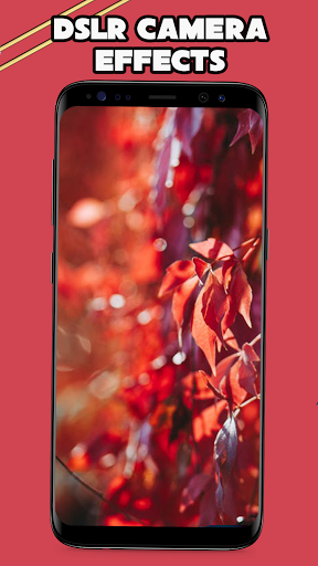 Auto Blur Background 2021 Blur Photo Blur Image