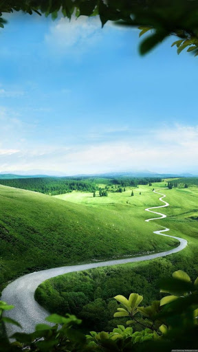 Green Nature Wallpaper