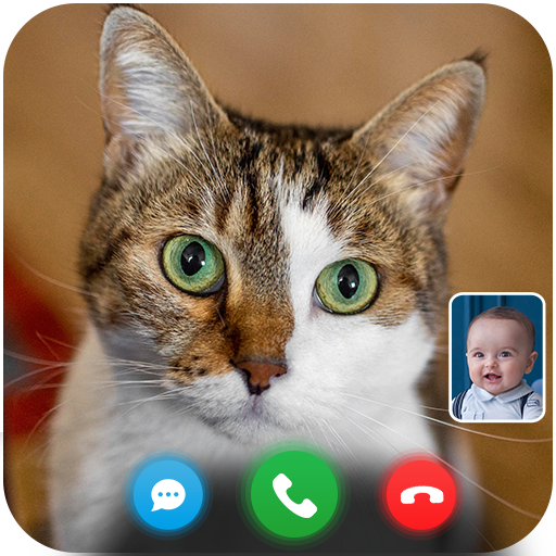 Cat Fake Video Call Prank Chat - Apps On Google Play