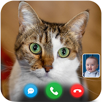 Cat Fake Video Call prank Chat