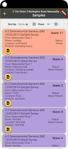 Assets Mobile Screen 2