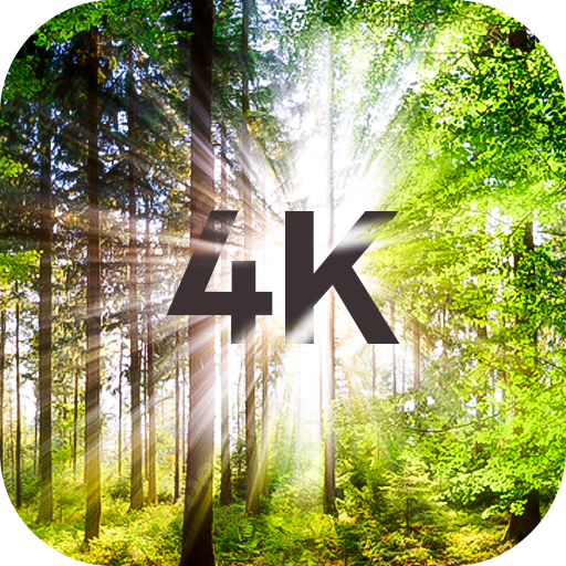 Sfondi di alberi in 4K Scarica su Windows